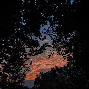 二次元污高清 吃奶
